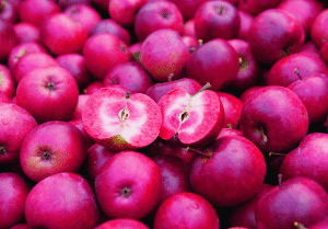 Pommier à chair rouges