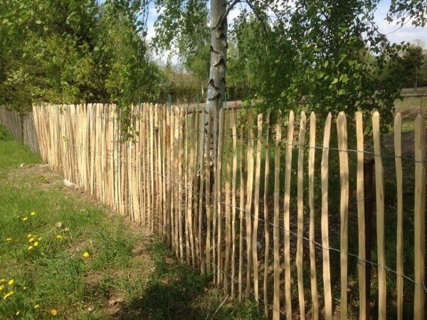 Ganivelle en noisetier H.1,50 x L.5 m