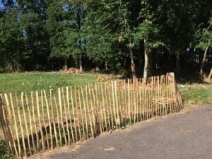 Ganivelle en noisetier H.1,50 x L.5 m – Image 2