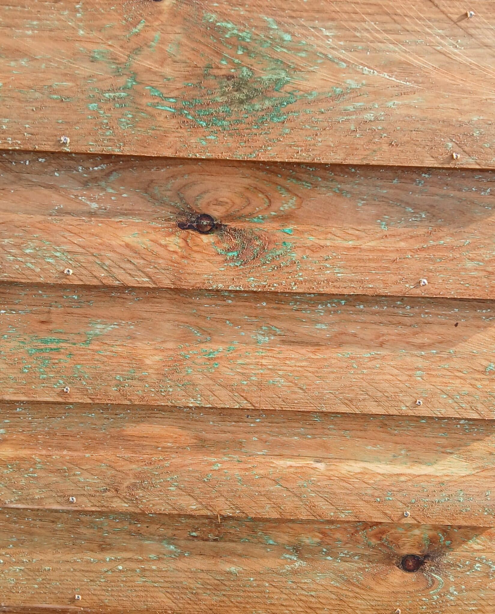 Bardage agricole 18x150 mm classe 3 autoclave en 3m marron – Image 1