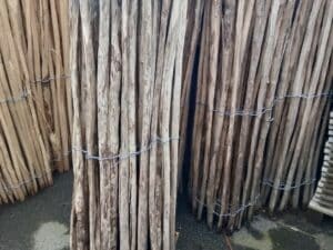 Ganivelle en noisetier H.1,50 x L.5 m ancien stock – Image 1